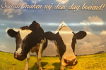 wij maken deze dag boeiend